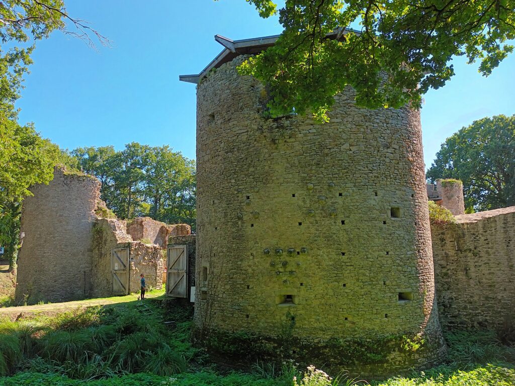 vue sur le château de Ranrouët à Herbignac lors de la visite guidée faite avec mon chien