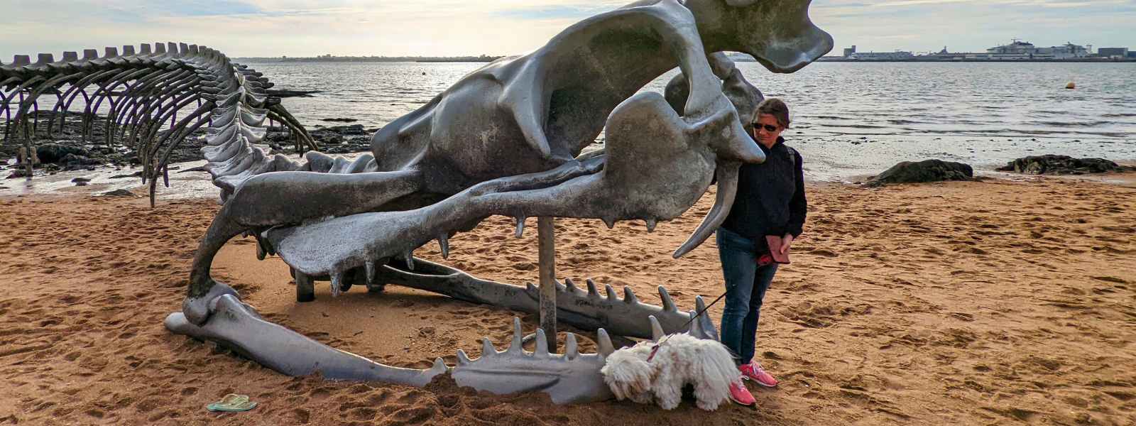 Patrimoine & Sites Culturels avec son chien : chien de race bichon havanais et sa maîtresse devant la gueule de la sculpture du serpent d'océan à marée basse à Saint-Brévin