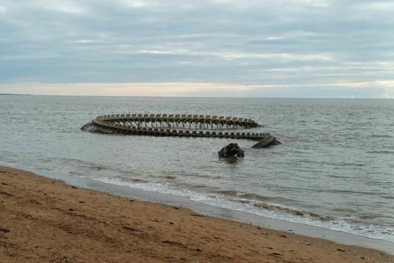 Patrimoine & Sites Culturels avec son chien : Le serpent d'océan semi immergé par la mer à Saint-Brévin lors d'une balade chien