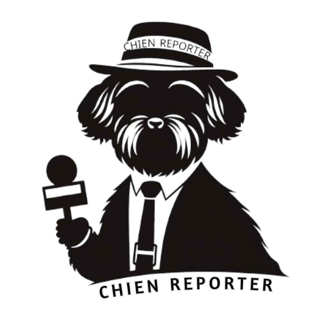 Chien Reporter