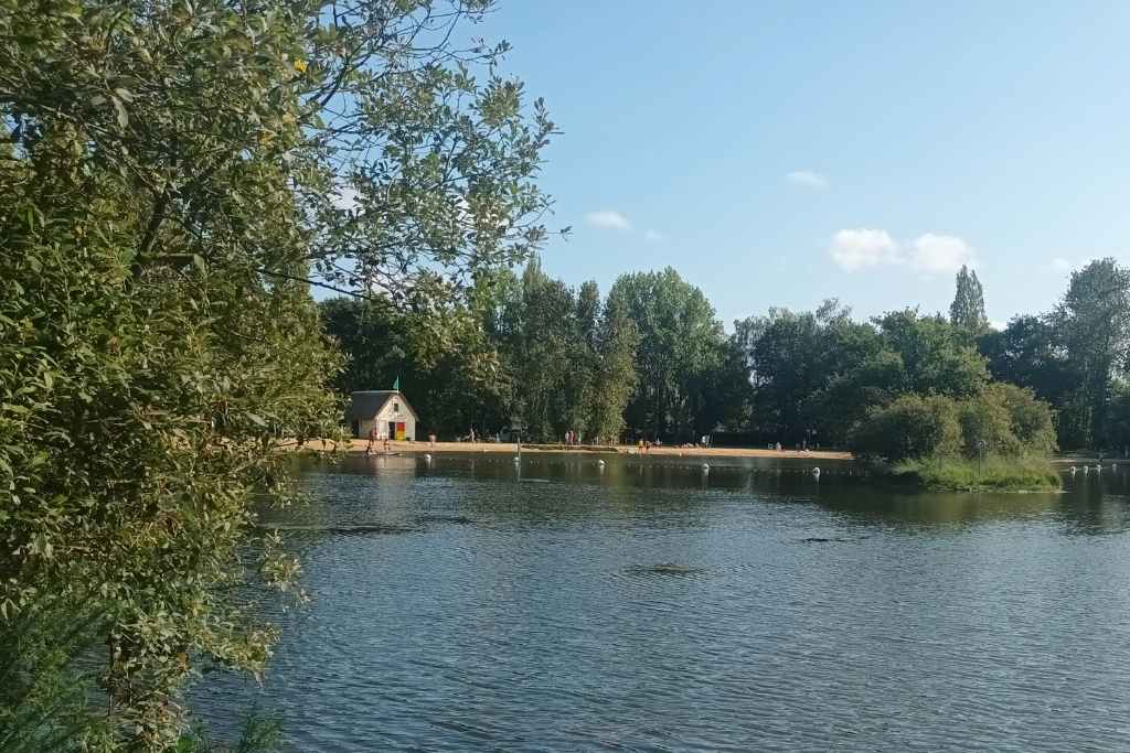 Balades & Randonnées avec son chien : vue sur l'étang des Brières du Bourg à Saint-Lyphard et sa plage