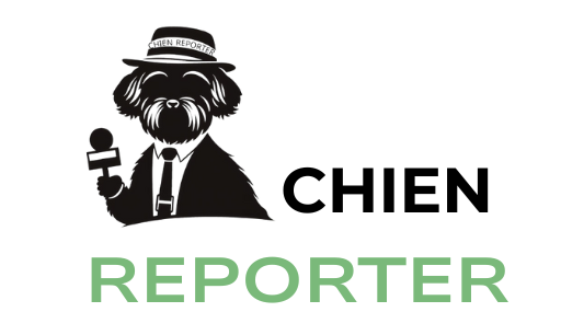 Logo et nom de chien reporter, le média qui informe des lieux accessibles avec un chien