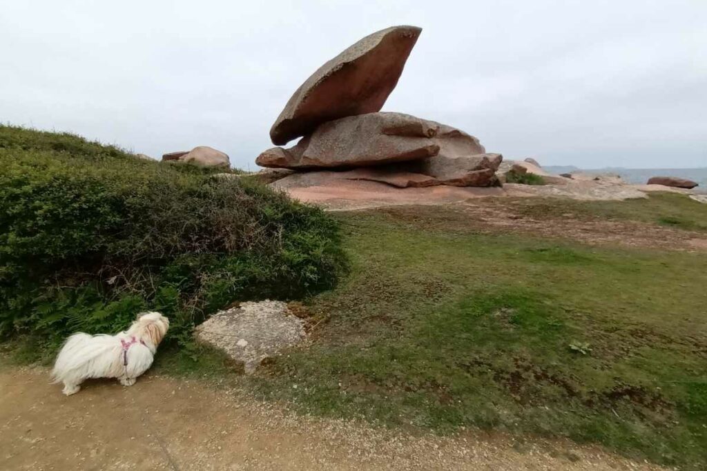 Sentier du GR34 et rochers de granit rose avec un chien