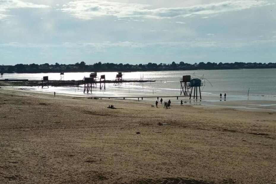 Inspirations & Séjours avec son chien : Promenade sur la plage de Tharon, sur la Côte de Jade, avec des chiens et leurs maîtres devant les pêcheries