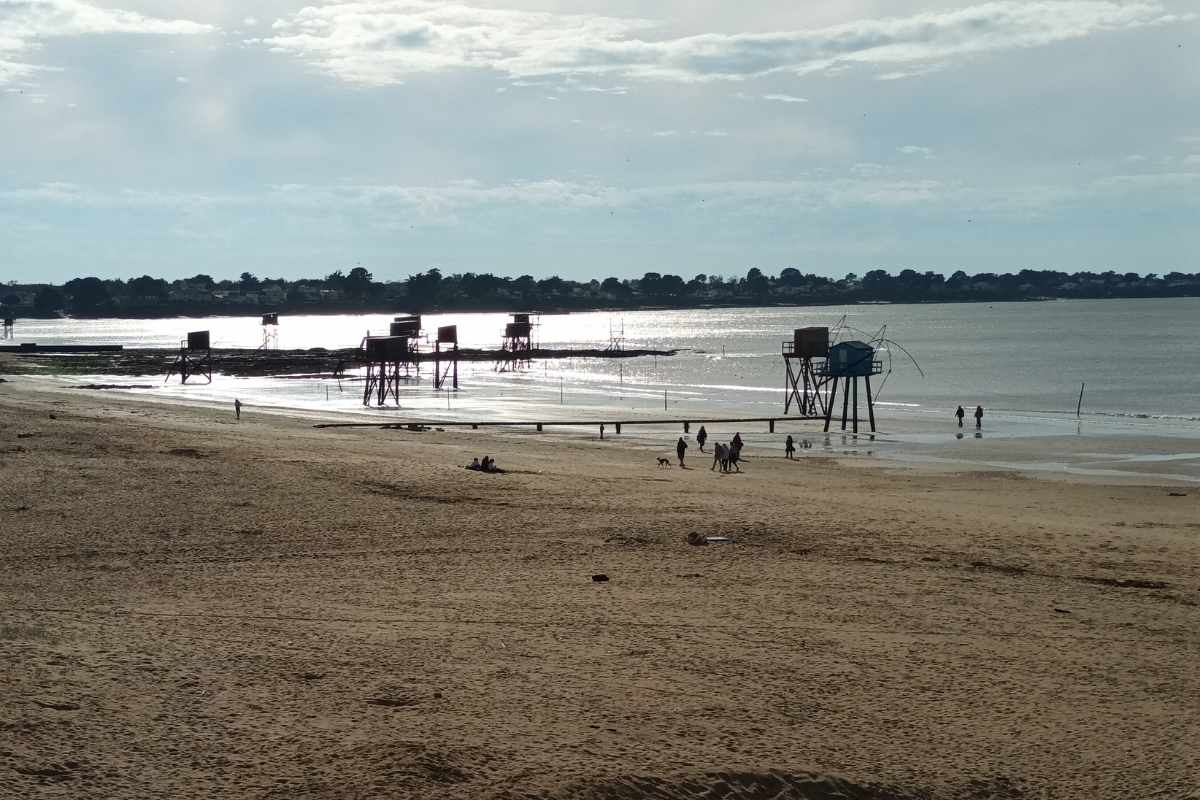 Inspirations & Séjours avec son chien : Promenade sur la plage de Tharon, sur la Côte de Jade, avec des chiens et leurs maîtres devant les pêcheries