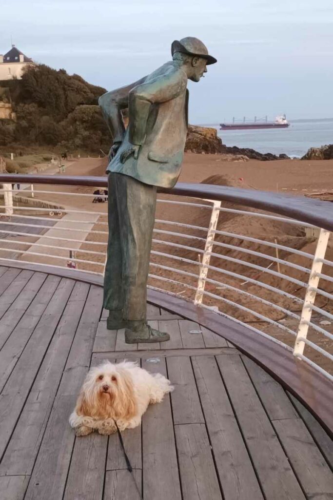 Les plages de Loire-Atlantique avec son chien : Chien posant devant Mr Hulot sans sa pipe en 2026