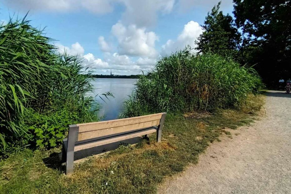 Balades & Randonnées avec son chien : banc sur le sentier du Bois Joalland faisant face à l'étang lors d'une balade chien