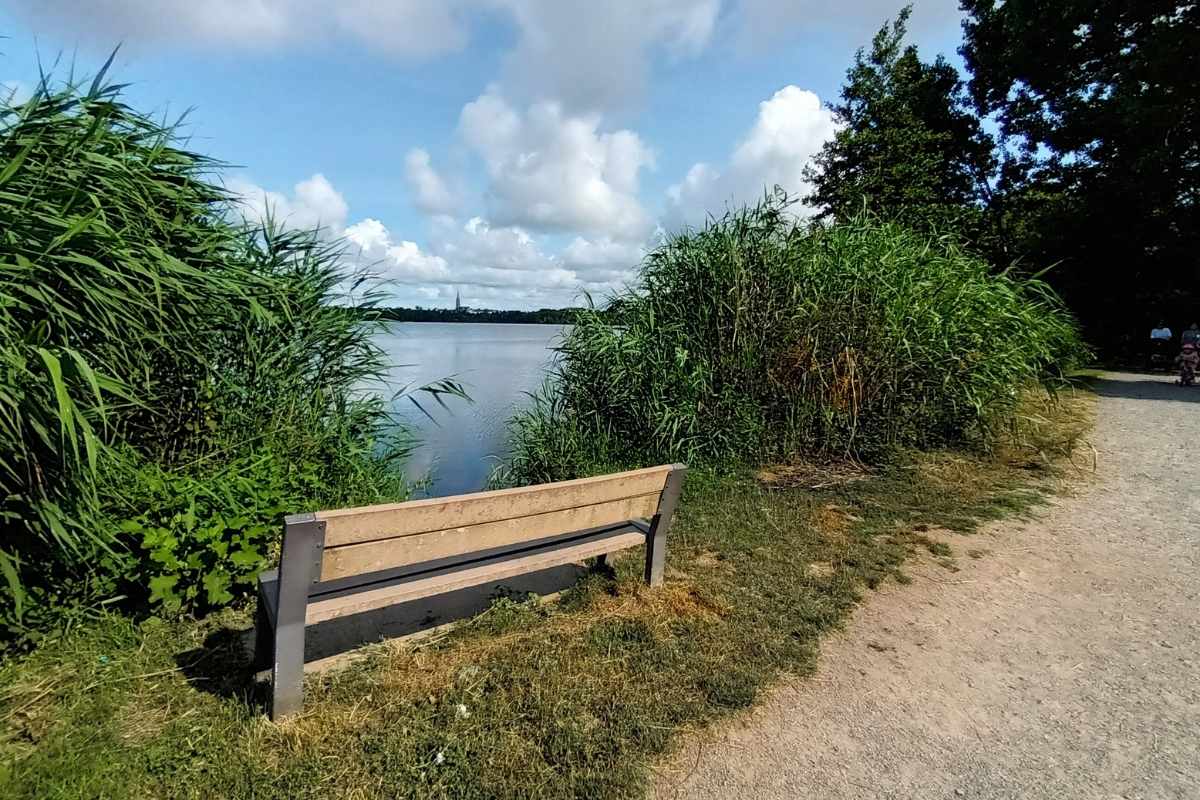 Balades & Randonnées avec son chien : banc sur le sentier du Bois Joalland faisant face à l'étang lors d'une balade chien