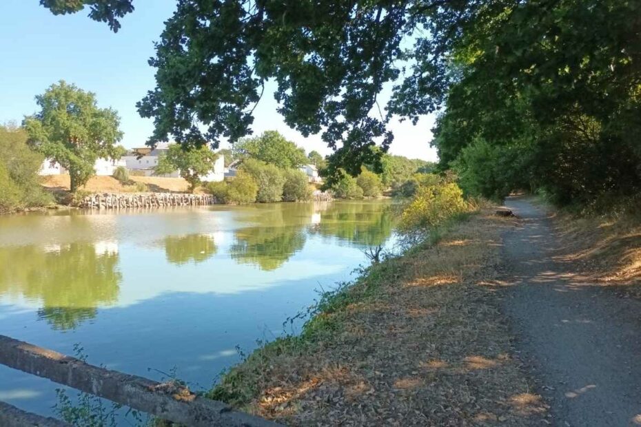 Balades & Randonnées avec son chien : sentier ombragé au bord de l'étang de Guindreff lors d'une balade chien à Saint-Nazaire