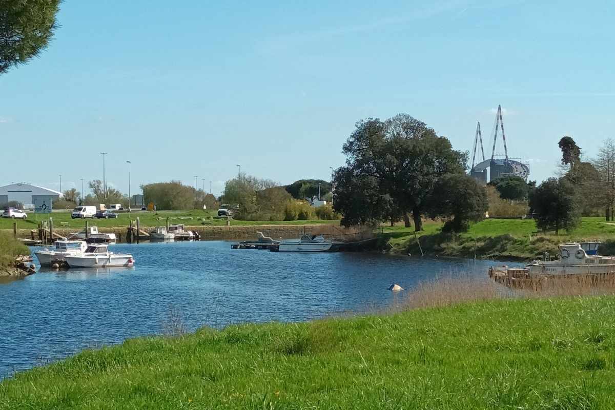 Balade avec son chien au port de Méan à Saint-Nazaire le long du Brivet avec vue sur les bateaux et le pont de Saint-Nazaire