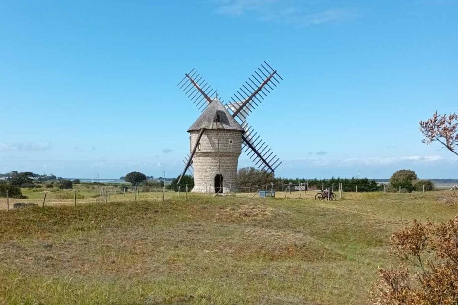 Moulin de la falaise à batz sur Mer lors d'une balade chien