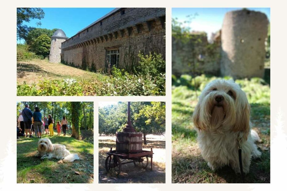 chien dans différents sites du patrimoine de la presqu’île guérandaise en Loire-Atlantique