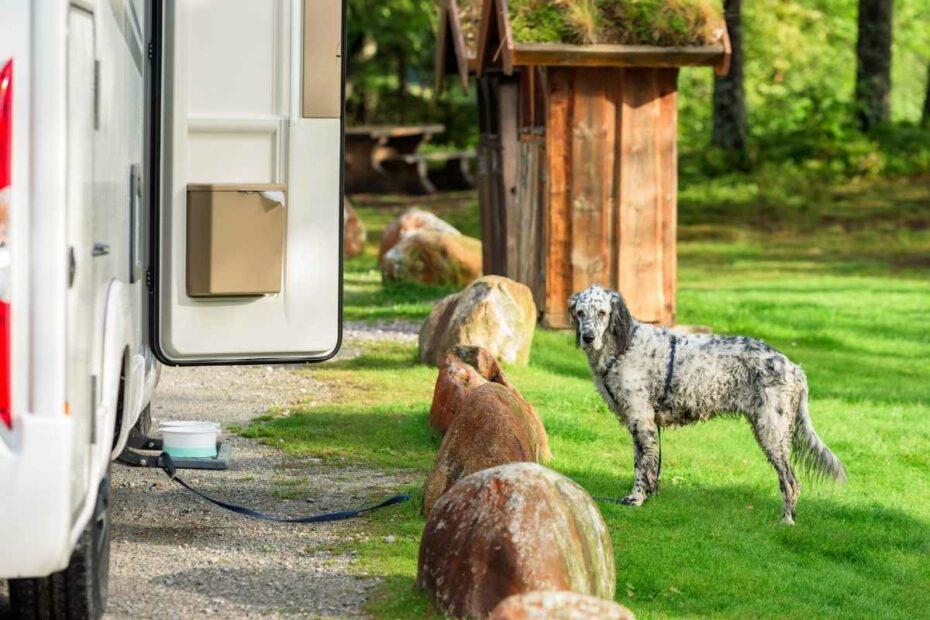 Camping Le Razay à Piriac-sur-Mer acceptant les chiens à proximité de la plage et des sentiers côtiers