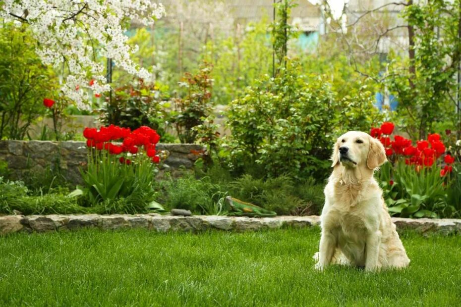 Gîte Ti Aber à Saint-Nazaire avec jardin clos acceptant les chiens dans un cadre calme entre mer et campagne