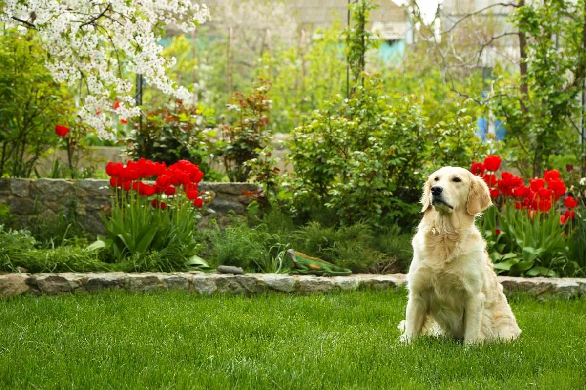 Gîte Ti Aber à Saint-Nazaire avec jardin clos acceptant les chiens dans un cadre calme entre mer et campagne