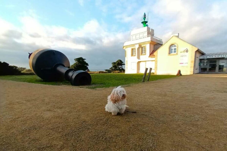 chien assis devant le sémaphore de la pointe Saint-Gildas à côté d'une bouée maritime à Préfailles
