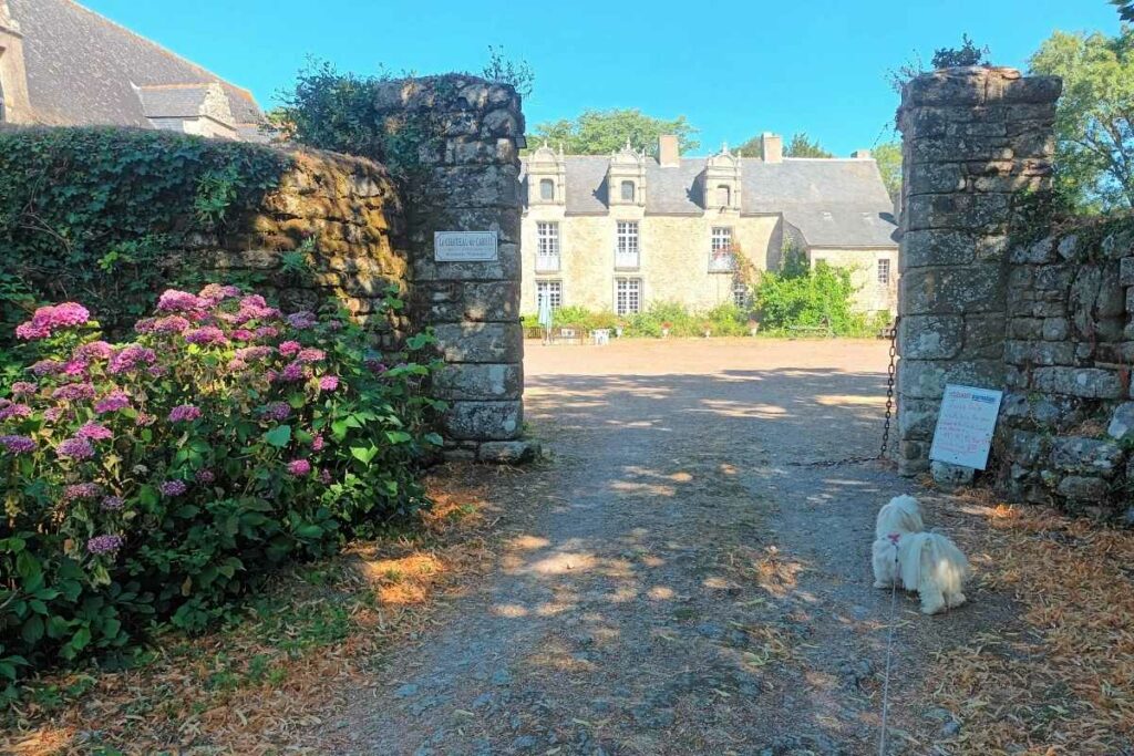 chien en laisse à l'entrée de la cour pour sa visite château de Careil à guérande