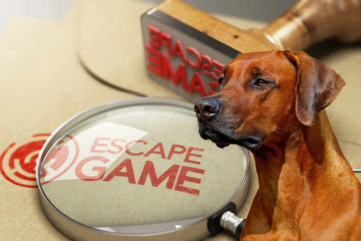 Escape game avec son chien en Loire-Atlantique