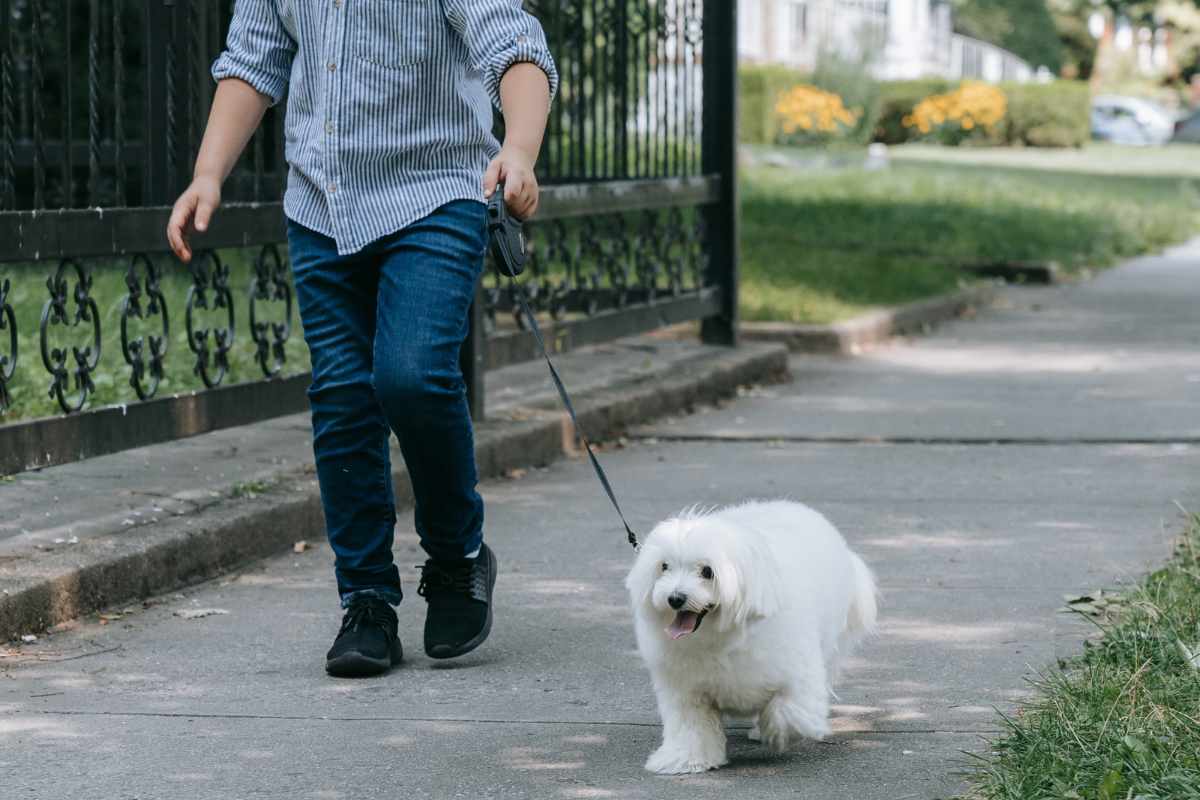chien se promenant avec son petsitter en Loire-Atlantique