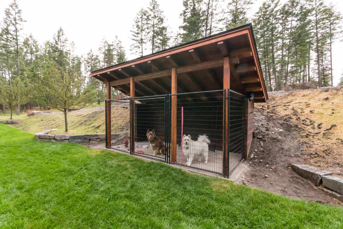 chiens dans leur box dans une pension canine à Saint Gildas des Bois en Loire Atlantique